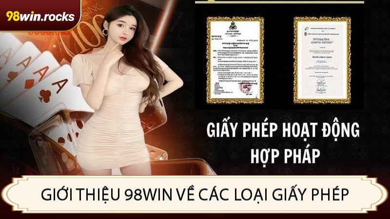 Giới thiệu 98WIN về các loại giấy phép